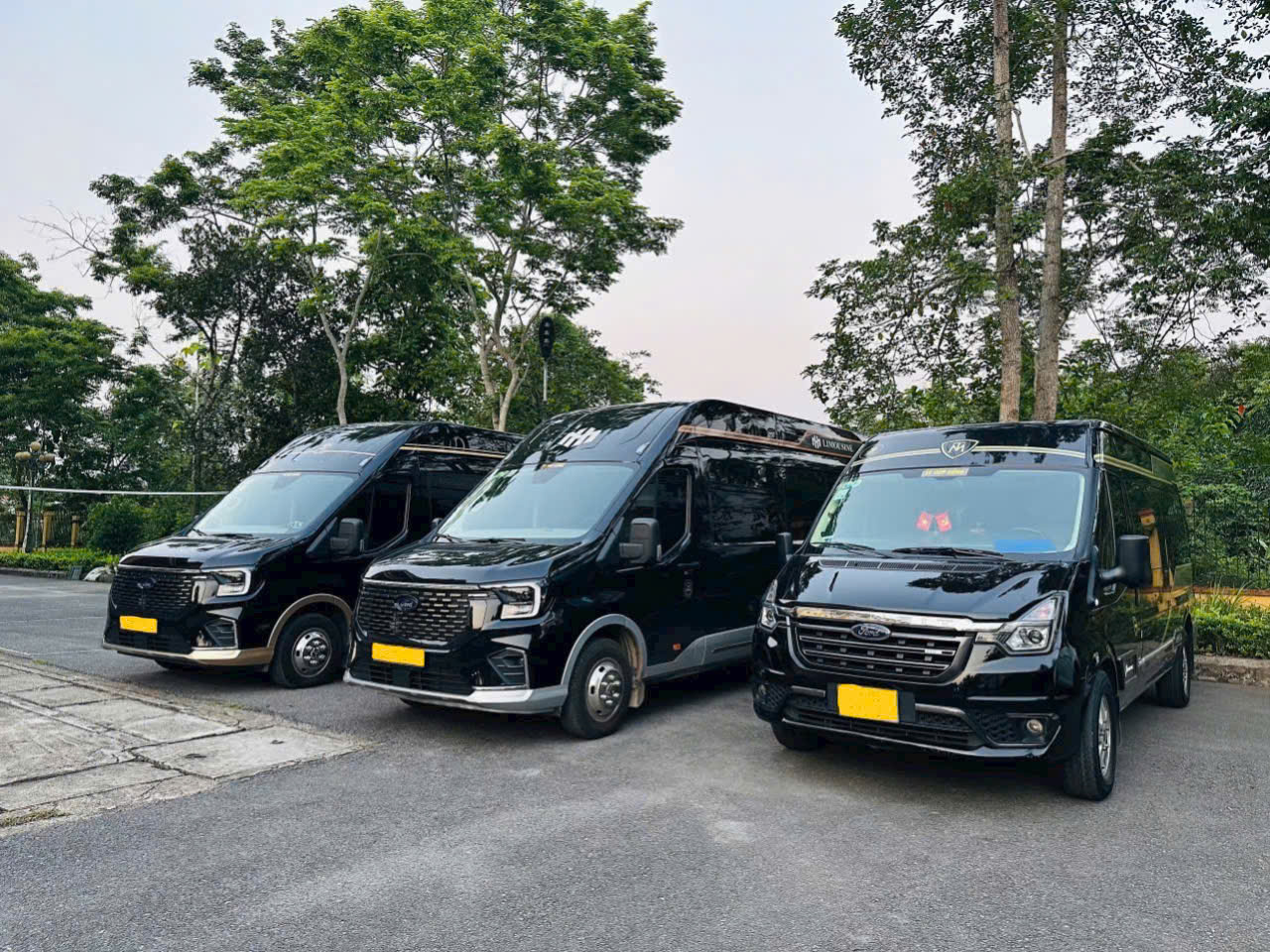 Limousine 10 chỗ ngoại thất