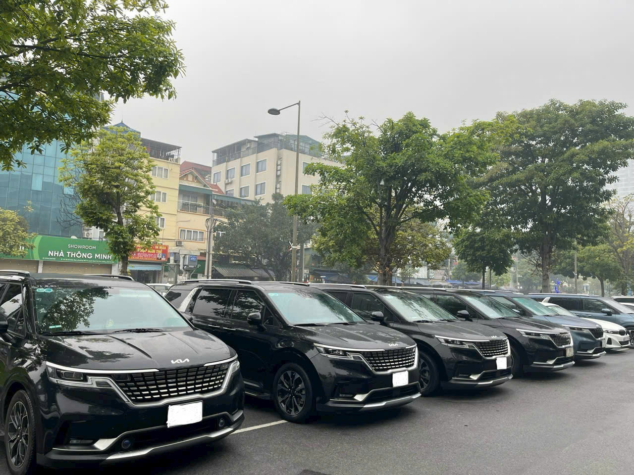 Đội xe Kia Carnival